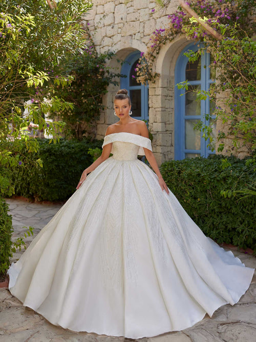 Affordable Off The Shoulder Fairytale Plus Size Wedding Dress 38
