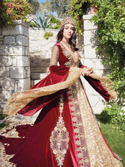 Luxury Red Wedding Henna Party Caftan evening wear velvet embroidered formal dress 357B- (1)